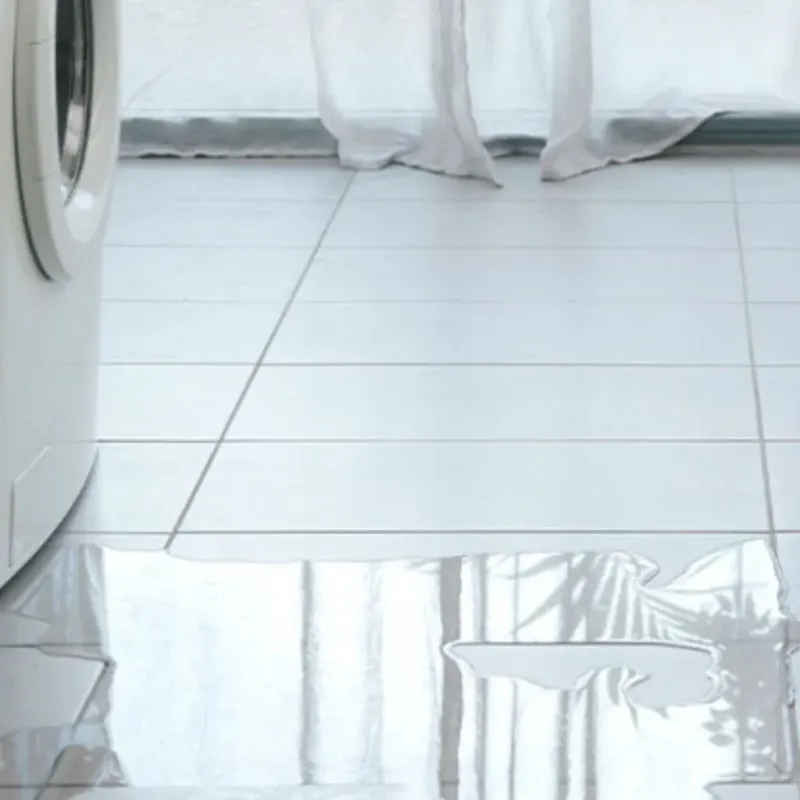 Appliance Leak Cleanup in Hertford County, NC