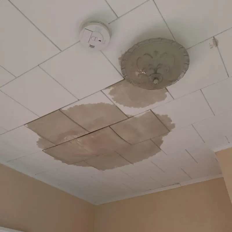 Ceiling Water Damage Repair in Hertford County, NC