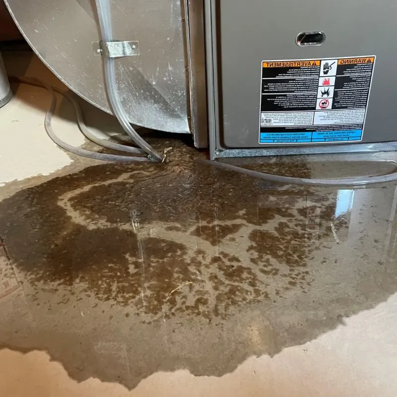 Pipe Burst and Leak Restoration in Hertford County, NC