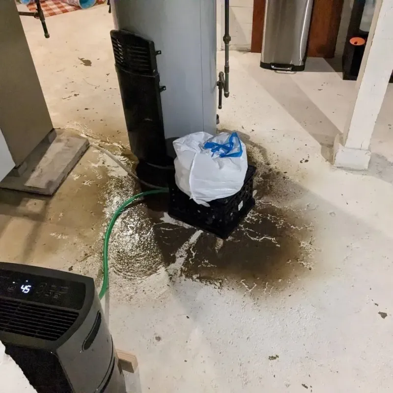 Sewage Backup Cleanup Service in Hertford County, NC